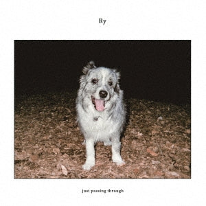 Ry - Just Passing Through - Japan LP Record