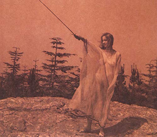 Unknown Mortal Orchestra - Ii - Import CD With Japan Obi