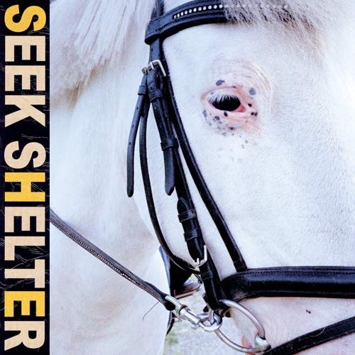 Iceage - Seek Shelter - Japan  CD Bonus Track