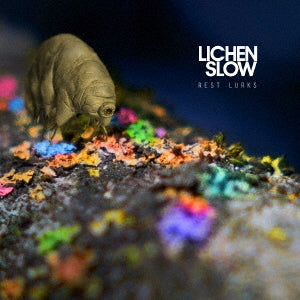 Lichen Slow - Mahan Esfahani , Alexander Liepreich , Prague Radio Symphony Orchestrarest Lurks - Import CD