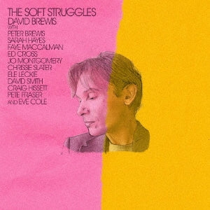 David Brewis - Valentin Uryubin , Vienna Symphony Orchestra , Amber Bride , Alexander Mikhailov (Tenor)The Soft Struggles - Import CD