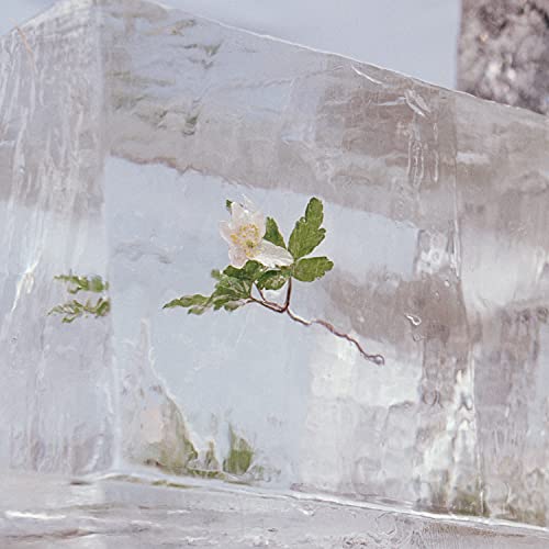 Efterklang - Windflowers - Japan CD