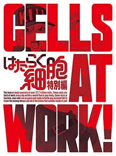 Animation - Cells At Work! Special Edition  - Japan Blu-ray Disc