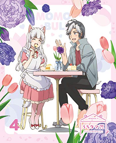 Animation - Uchitama?! - Uchi no Tama Shirimasenka? - 4 - Japan  DVD  Limited Release