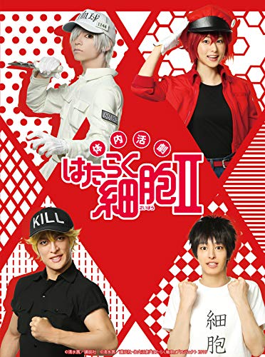Animation - Backflip DVD Box 3 - Japan  DVD Box Limited Release