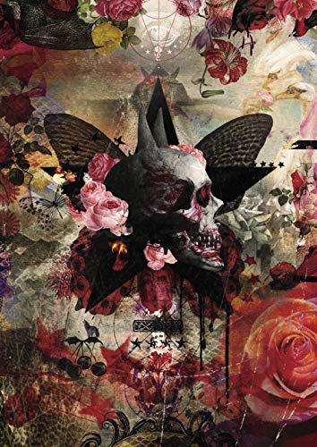 Sads - Falling The Live - DVD+CD