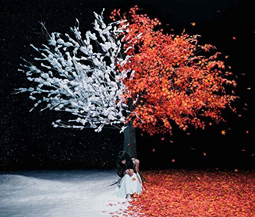 Aimer - Akanesasu / Everlasting Snow - Japan CD