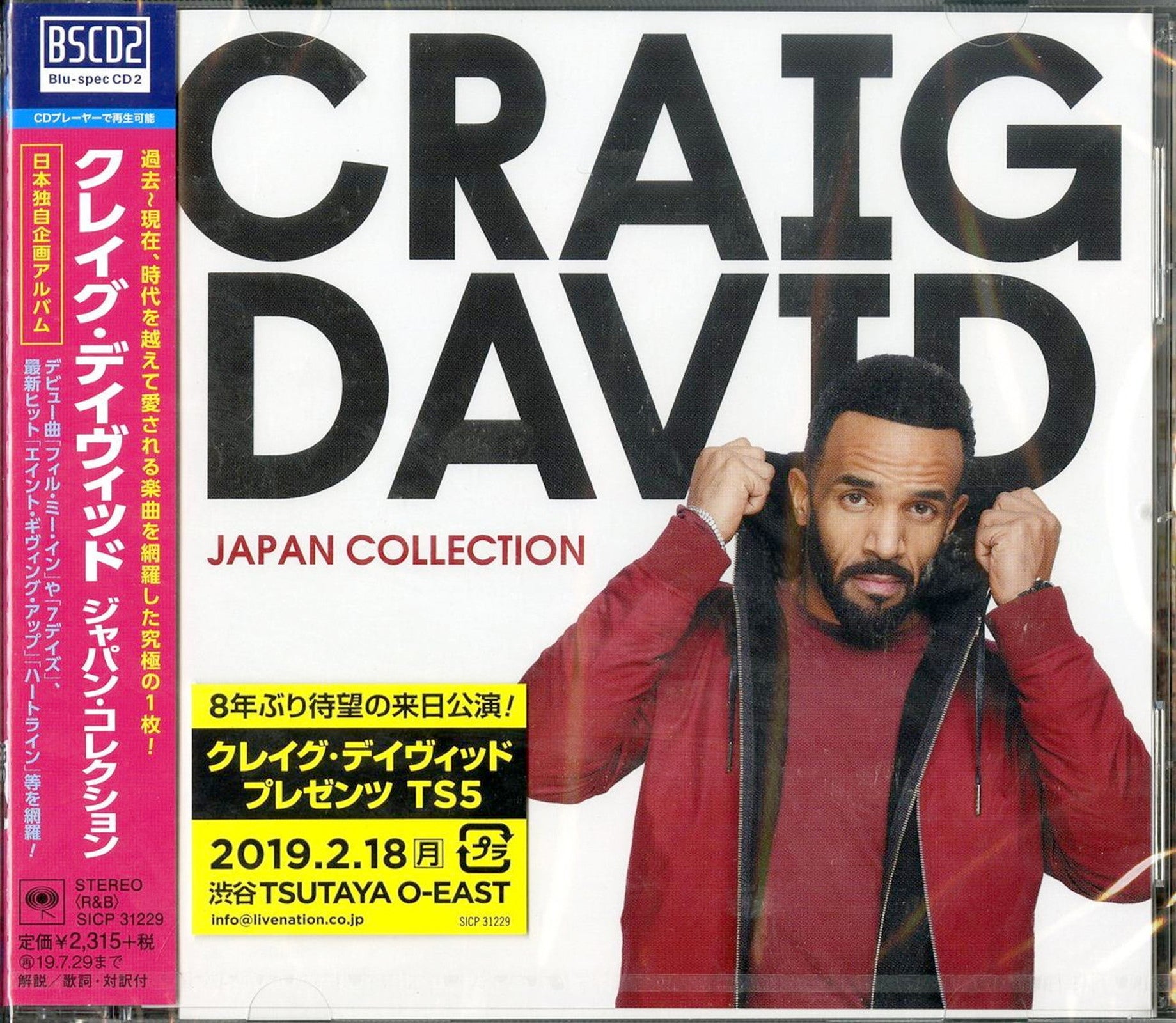 CRAIG DAVID クレイグデイビッド レコード - 洋楽