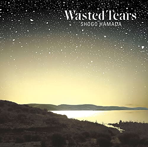 Shogo Hamada - Wasted Tears - Japan CD