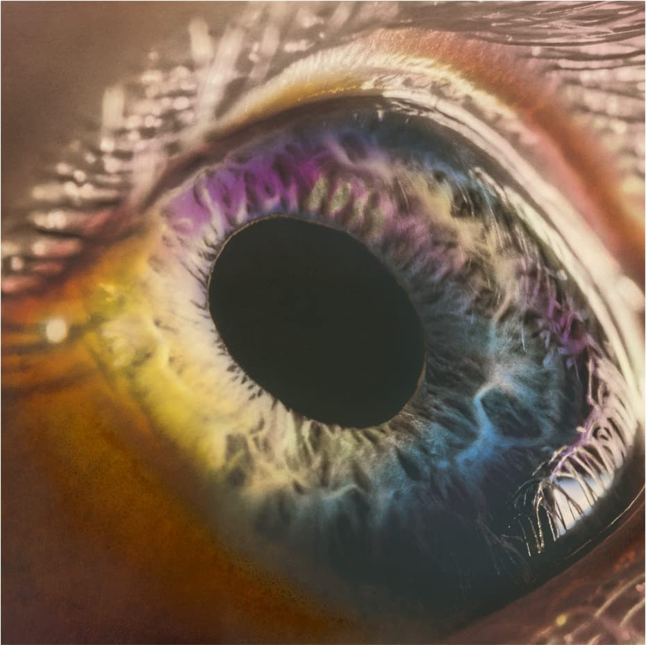 Arcade Fire - We Limited Release - Japan  CD