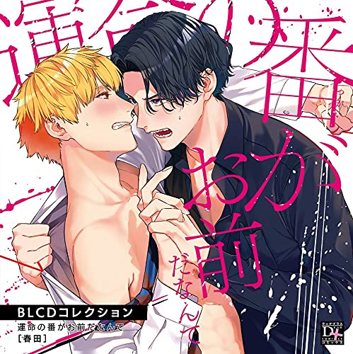 Unmei No Tsugai Ga Omae Da Nante - S/T - Japan CD