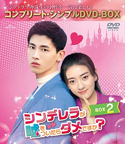 Movie - Mr. Honesty (Cinderella ga Uso wo Tsuitara Dame Desuka?) Box 2 Complete DVD Box  - Japan DVD Box