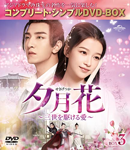 TV Series - Sekigetsuka - Sanze wo Kakeru Ai - (Japanese Title) Box 3 Complete DVD Box 5000yen Series [Priced-down Reissue / Limited Release] - Japan DVD Box Set