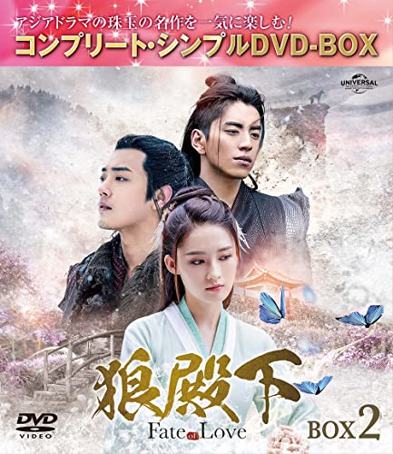 TV Series - The Wolf (Okami Denka - Fate of Love -) Box 2 Complete DVD Box 5000yen Series [Priced-down Reissue / Limited Release] - Japan DVD Box Set