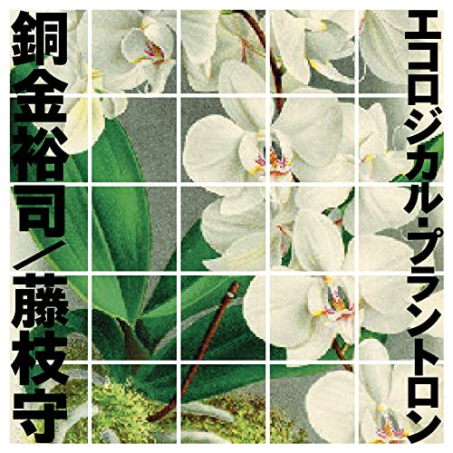 Yuji Dogane & Mamoru Fujieda - Ecological Plantron - Japan  2 CD