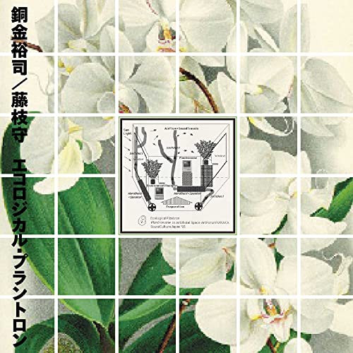 Yuji Dogane, Mamoru Fujieda - Ecological Plantron - Japan Vinyl Record