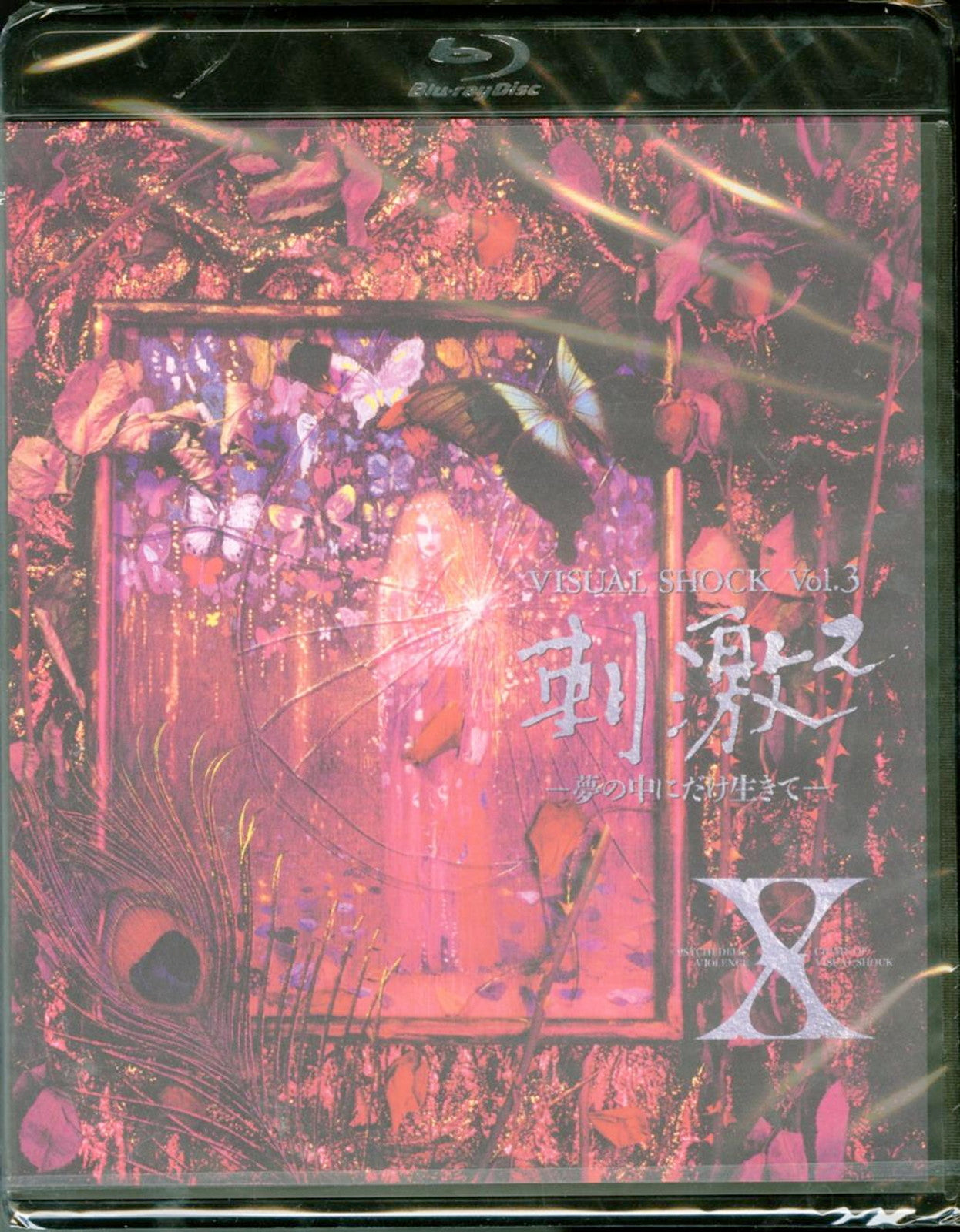X Japan - Visual Shock Vol.3