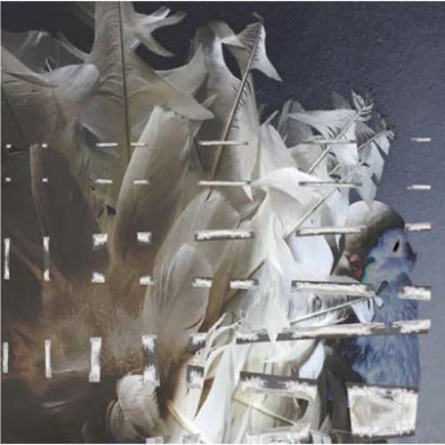 Merzbow - Fantail Vision CD Box