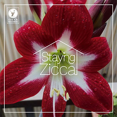Char - Staying Zicca - Japan CD