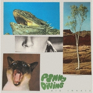 Penny Diving - Big Inhale - Import Japan Ver LP Record
