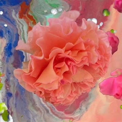 Conic Rose - Heller Tag - Import CD