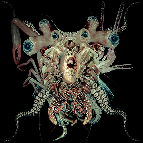 Dj Skull Vomit - Ritual Glow - Japan CD