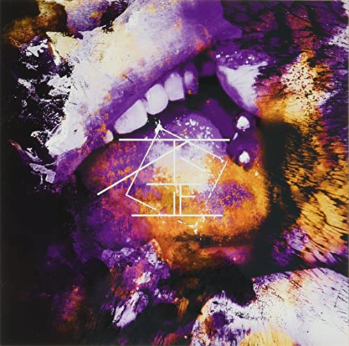 Codomo Dragon - Ibitsu [W/ Dvd, Limited Edition / Type B] - Japan CD single Ltd/Ed