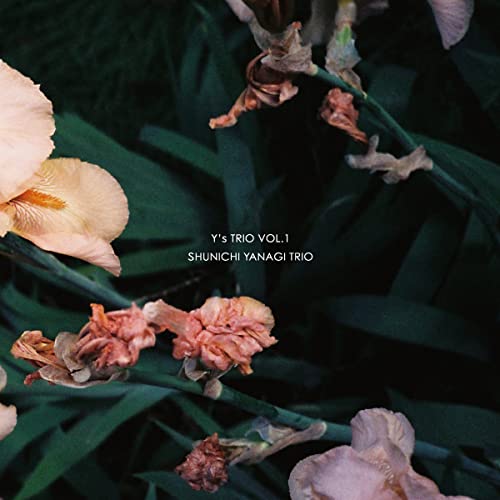 Shunichi Yanagi Trio - Y'S Trio Vol.1 - Japan CD