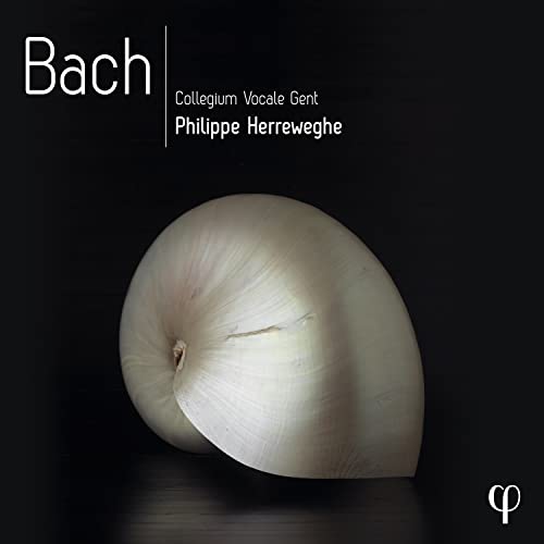 Bach (1685-1750) - Johannes-Passion, Mass in B Minor, Motets, Cantatas : Herreweghe / Collegium Vocale Gent (10CD) - Import 10 CD Box