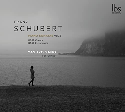 Schubert (1797-1828) - Piano Sonatas Nos.7, 19 : Yasuyo Yano(Fp) - Import CD