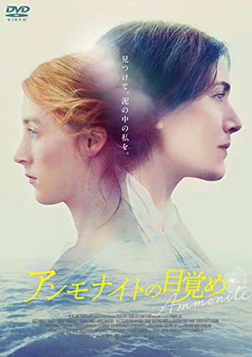 Movies & TV - Ammonite - Japan DVD