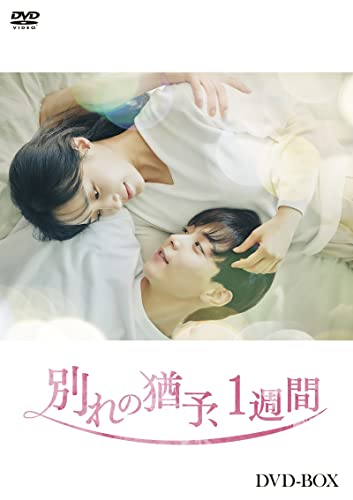 Movies & TV - Wakre no Yuyo, 1 Shukan (Japanese title) DVD Box - Japan DVD Box