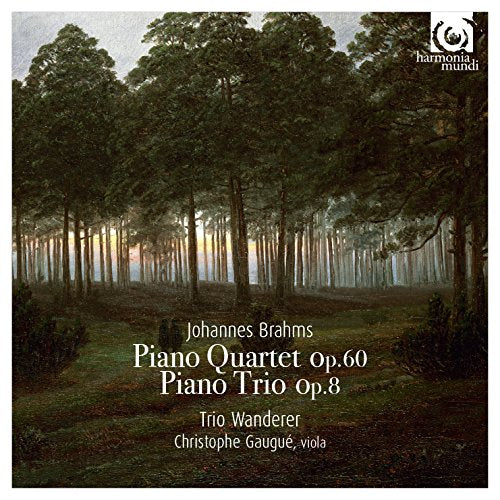 Trio Wanderrer - Brahms: Piano Trio No.1. Piano Quartet No.3 - Import CD With Japan Obi