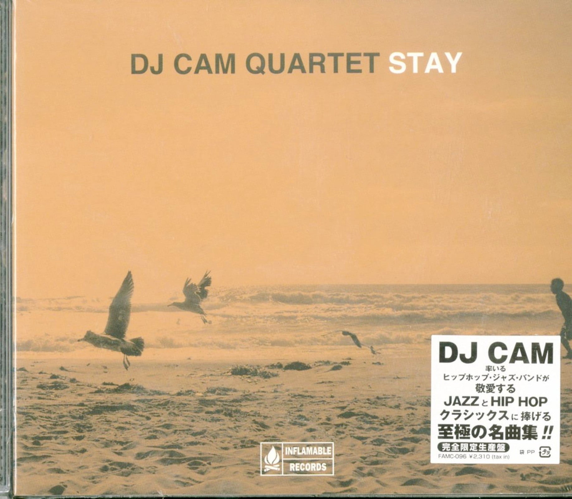 DJ CAM QUARTET STAY LP盤 - 洋楽