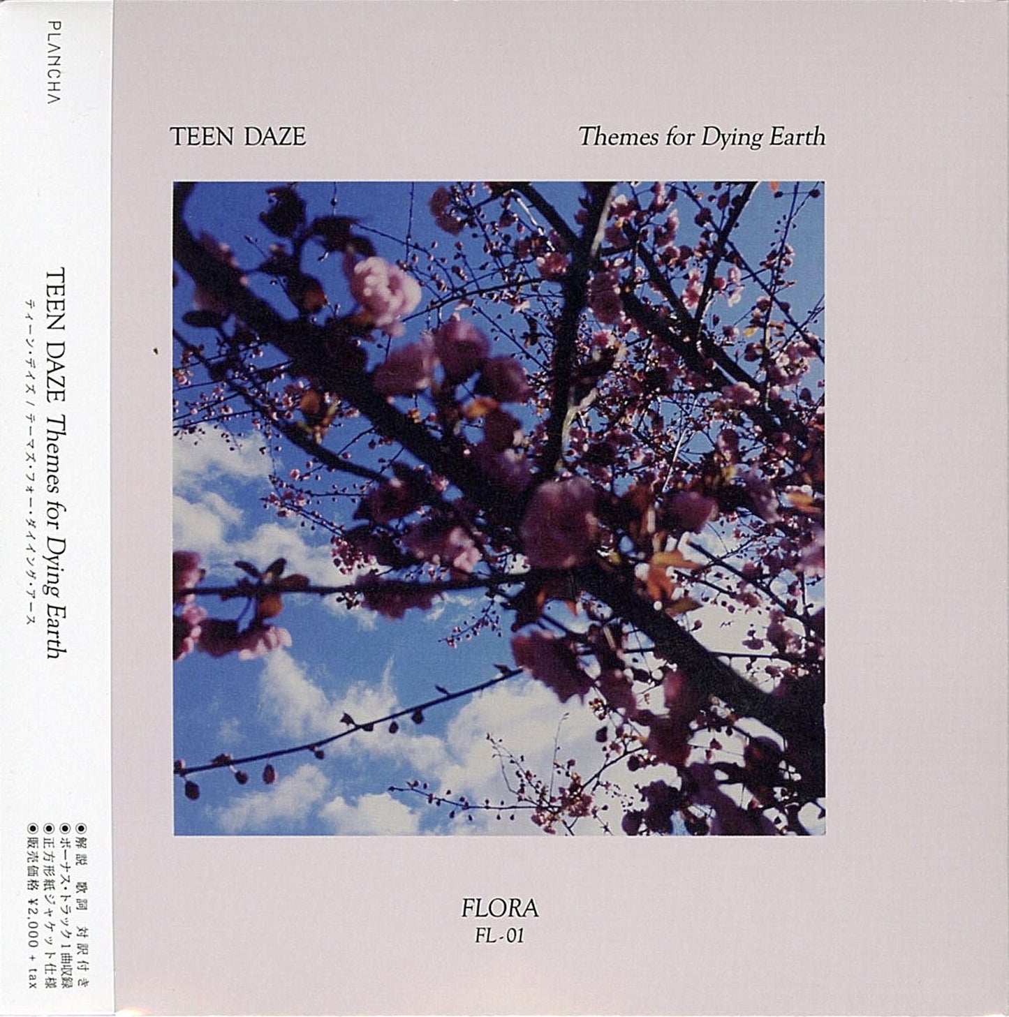 Teen Daze - Themes For Dying Earth - Japan CD