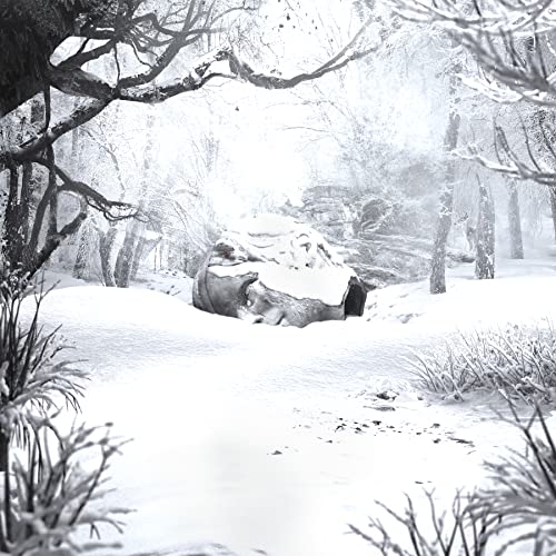 Weezer - Sznz:Winter - Japan CD