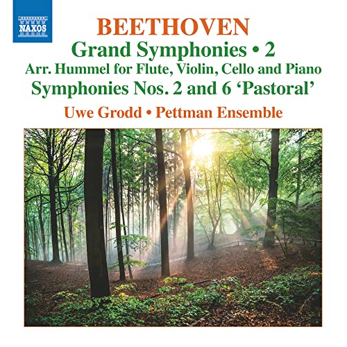 Beethoven (1770-1827) - (Hummel)Symphonies Nos.2, 6 : Grodd(Fl)Pettman Ensemble - Import CD
