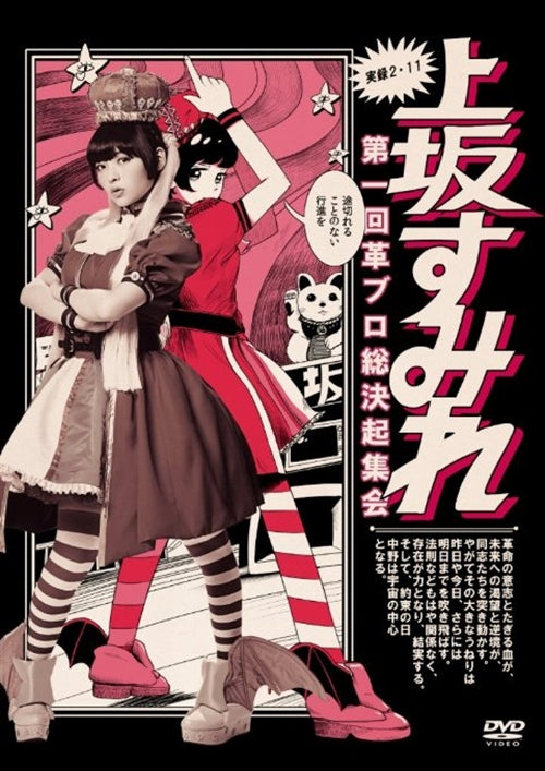 Sumire Uesaka - Jitsuroku. 2.11 Dai Ikkai Kaku Buro Soukekki Shukai - Japan  DVD