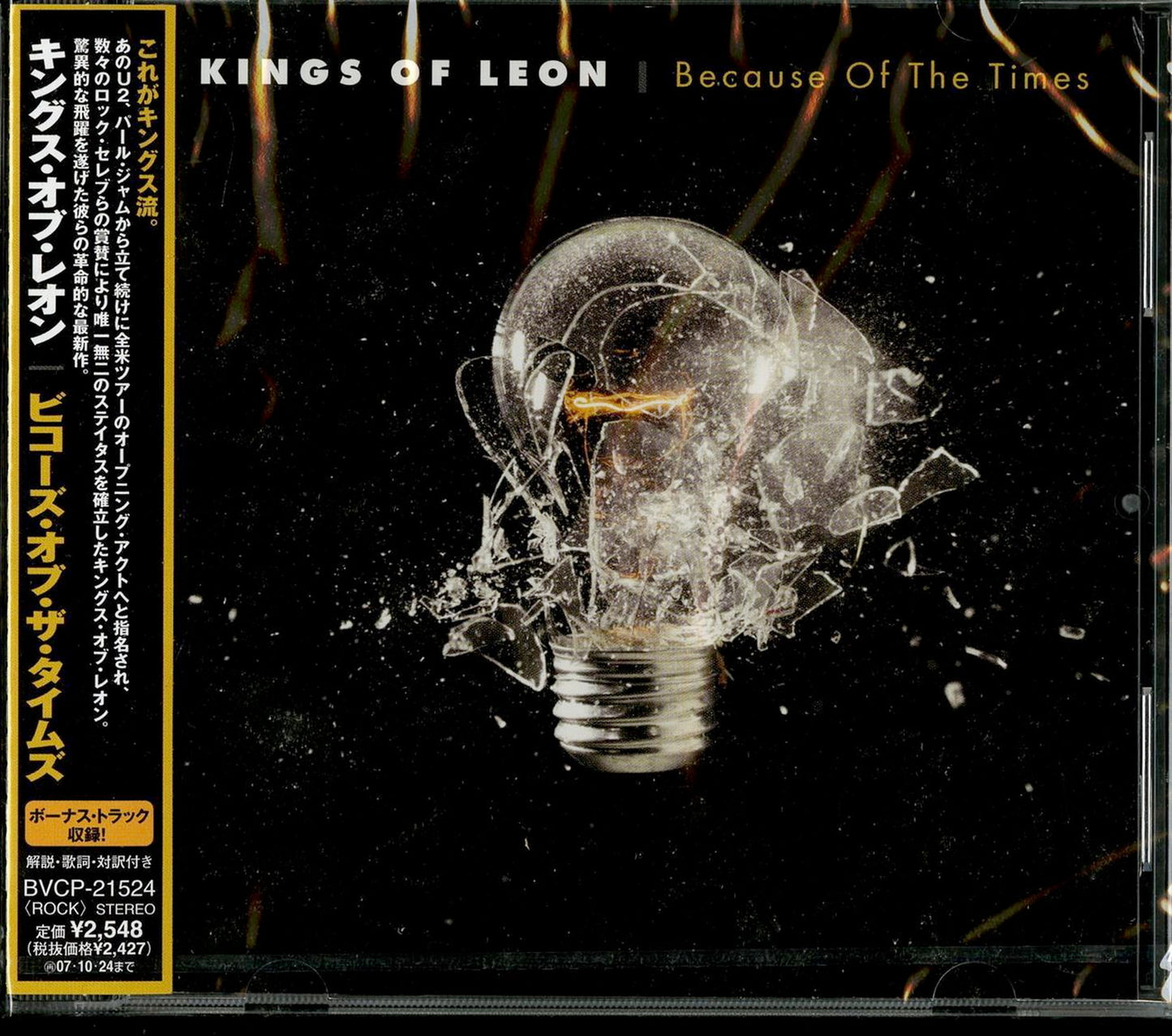 Kings Of Leon - Because Of The Times - Bonus Track