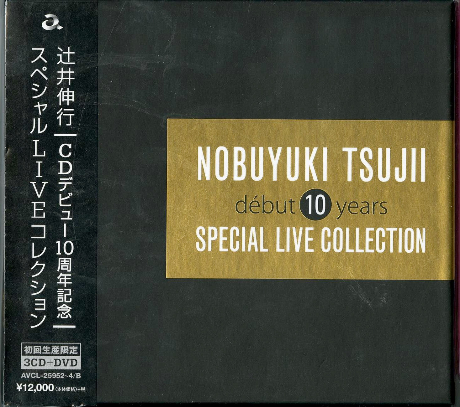 Nobuyuki Tsujii - Debut 10 Years Special Live Collection - Japan 3