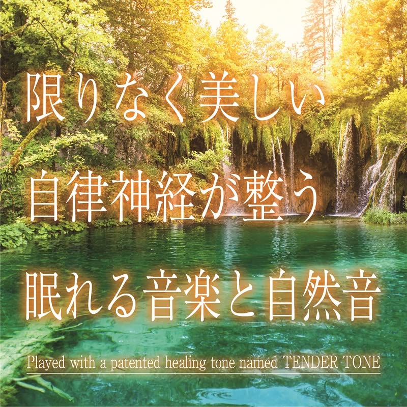 Junichi Kamiyama J.Project - Kagiri Naku Utsukushii Jiritsu Shinkei Ga Totonou Nemureru Ongaku To Shizenon - Japan CD