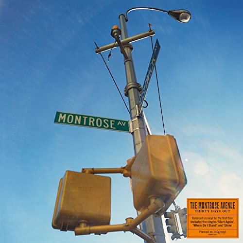 The Montrose Avenue - Thirty Days Out - Import LP Record