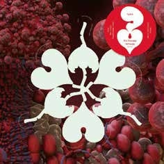 Bjork - The fossora Remixes - Import LP Record
