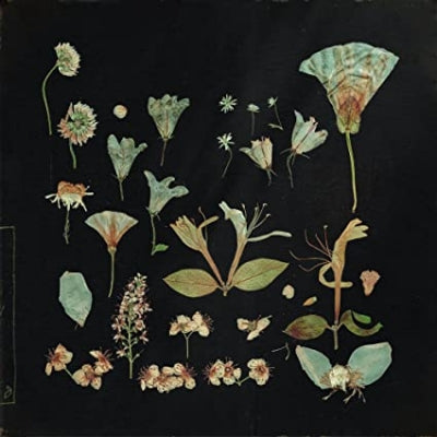 Leaving Laurel - When The Quiet Comes - Import LP Record