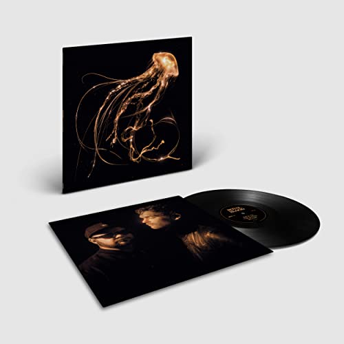 Royal Blood - Back To The Water Below - Import Vinyl LP Record