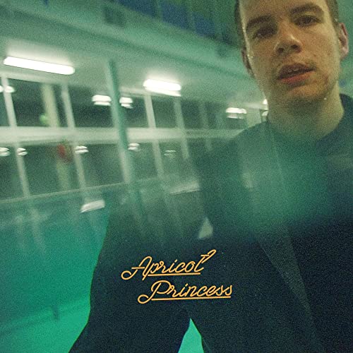 Rex Orange County - Apricot Princess (Orange Vinyl) - Import LP Record Limited Edition