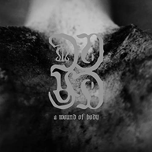 Common Eider, King Eider - A Wound of Body - Import Vinyl LP Record
