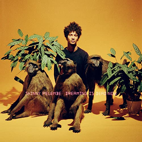 Skinny Pelembe - Dreaming Is Dead Now - Import LP Record