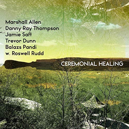 Various Artists - Ceremonial Healing - Import LP Record