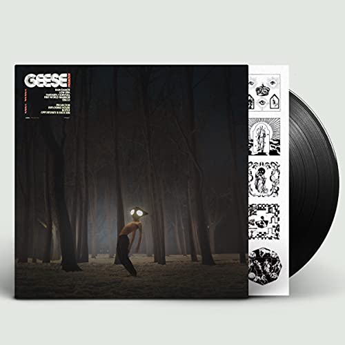 Geese (Brooklyn) - Projector - Import LP Record